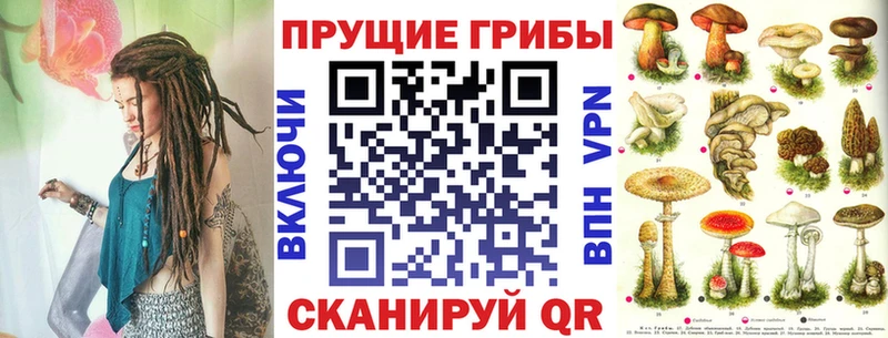 Псилоцибиновые грибы мицелий  Абинск 